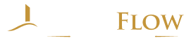 assests flow